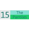 15 THE PANTILES DENTAL PRACTICE
