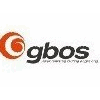 GBOS LASER TECHNOLOGY COMPANY LIMITED