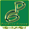 PROMISE GROUP