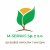 M-SERVIS SP. Z O.O.